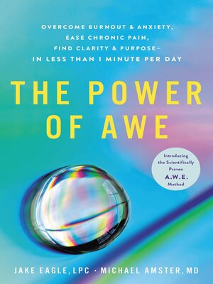 The Power of Awe - ebook